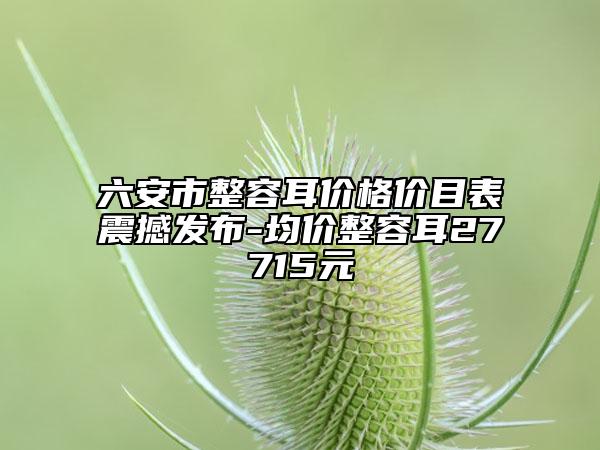 六安市整容耳价格价目表震撼发布-均价整容耳27715元
