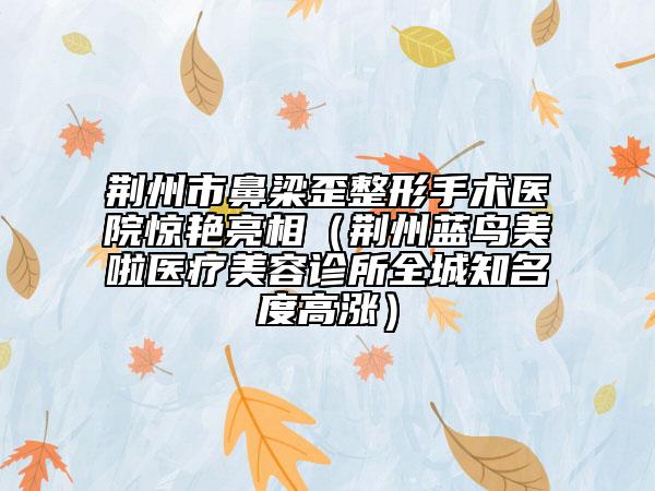 荆州市鼻梁歪整形手术医院惊艳亮相（荆州蓝鸟美啦医疗美容诊所全城知名度高涨）