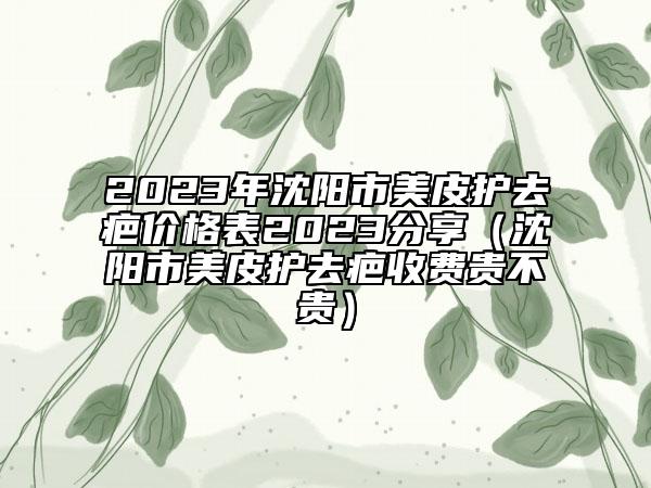 2023年沈阳市美皮护去疤价格表2023分享（沈阳市美皮护去疤收费贵不贵）