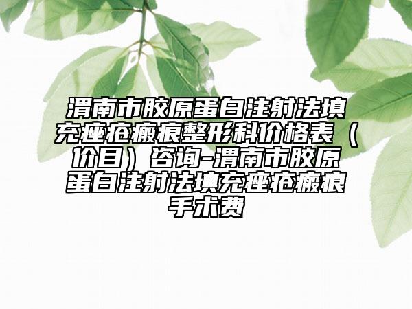 渭南市胶原蛋白注射法填充痤疮瘢痕整形科价格表（价目）咨询-渭南市胶原蛋白注射法填充痤疮瘢痕手术费