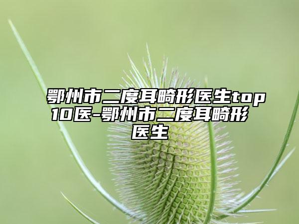 鄂州市二度耳畸形医生top10医-鄂州市二度耳畸形医生