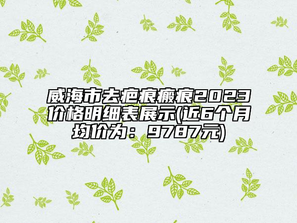 威海市去疤痕瘢痕2023价格明细表展示(近6个月均价为：9787元)