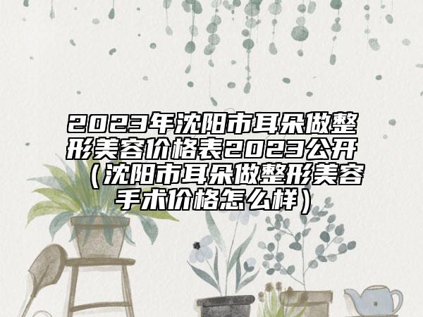 2023年沈阳市耳朵做整形美容价格表2023公开（沈阳市耳朵做整形美容手术价格怎么样）
