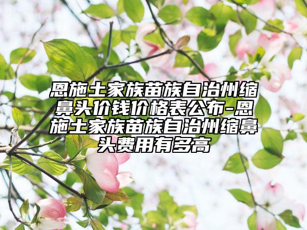 恩施土家族苗族自治州缩鼻头价钱价格表公布-恩施土家族苗族自治州缩鼻头费用有多高