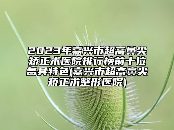 2023年嘉兴市超高鼻尖矫正术医院排行榜前十位各具特色(嘉兴市超高鼻尖矫正术整形医院)