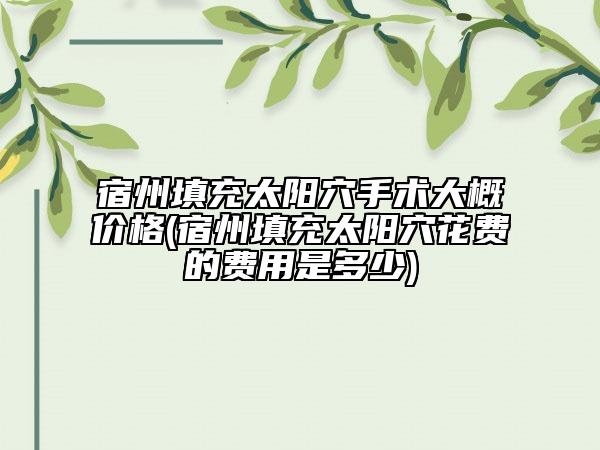 宿州填充太阳穴手术大概价格(宿州填充太阳穴花费的费用是多少)