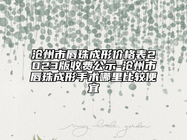 沧州市唇珠成形价格表2023版收费公示-沧州市唇珠成形手术哪里比较便宜
