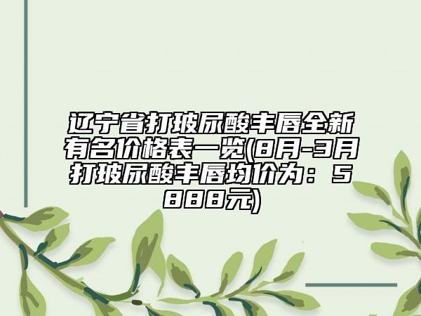 辽宁省打玻尿酸丰唇全新有名价格表一览(8月-3月打玻尿酸丰唇均价为：5888元)