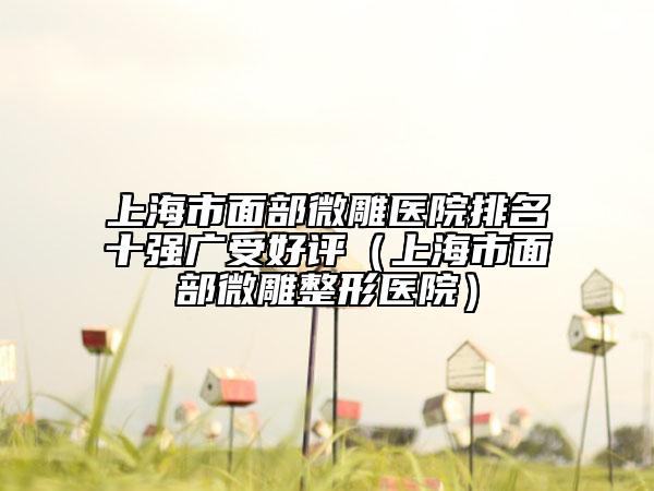 上海市面部微雕医院排名十强广受好评（上海市面部微雕整形医院）
