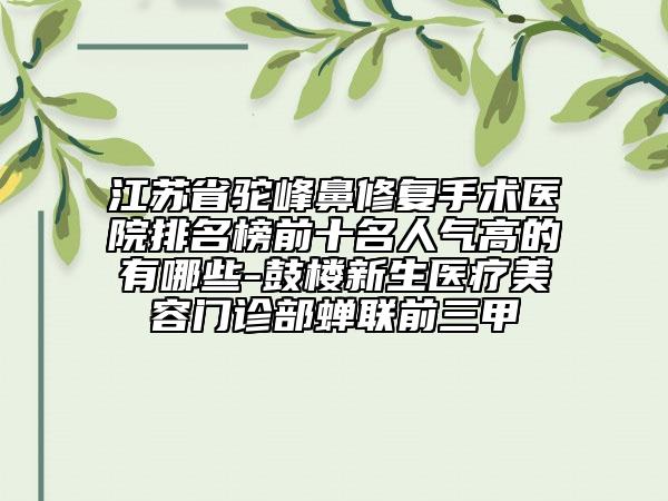 江苏省驼峰鼻修复手术医院排名榜前十名人气高的有哪些-鼓楼新生医疗美容门诊部蝉联前三甲