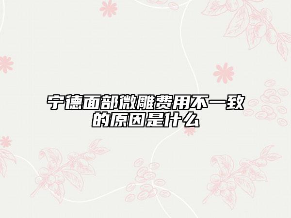 宁德面部微雕费用不一致的原因是什么