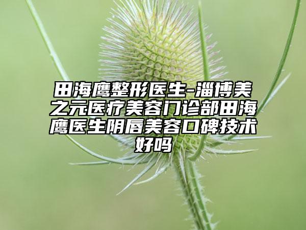 田海鹰整形医生-淄博美之元医疗美容门诊部田海鹰医生阴唇美容口碑技术好吗