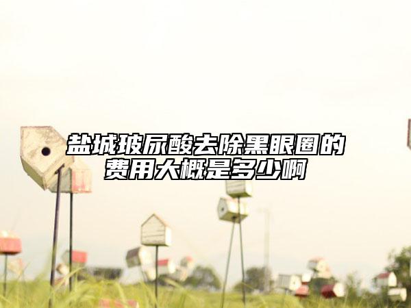 盐城玻尿酸去除黑眼圈的费用大概是多少啊