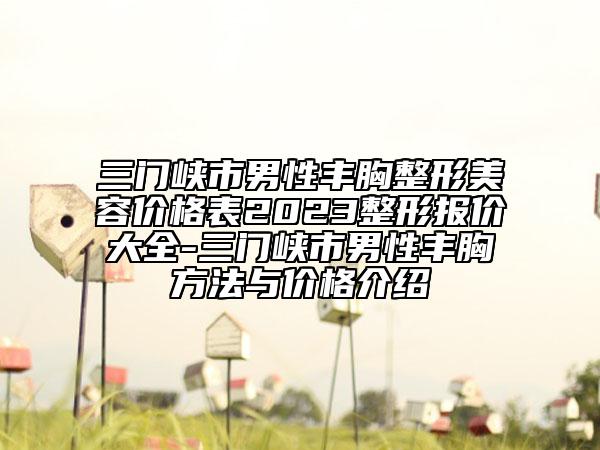 三门峡市男性丰胸整形美容价格表2023整形报价大全-三门峡市男性丰胸方法与价格介绍