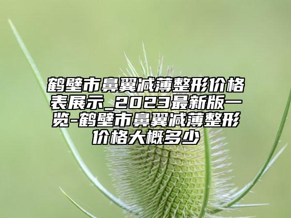 鹤壁市鼻翼减薄整形价格表展示_2023最新版一览-鹤壁市鼻翼减薄整形价格大概多少