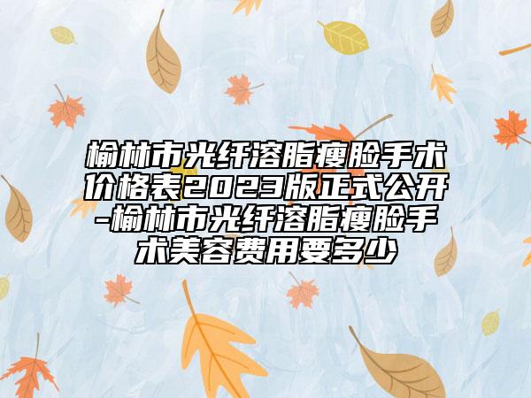 榆林市光纤溶脂瘦脸手术价格表2023版正式公开-榆林市光纤溶脂瘦脸手术美容费用要多少