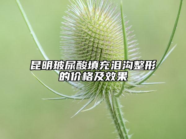 昆明玻尿酸填充泪沟整形的价格及效果