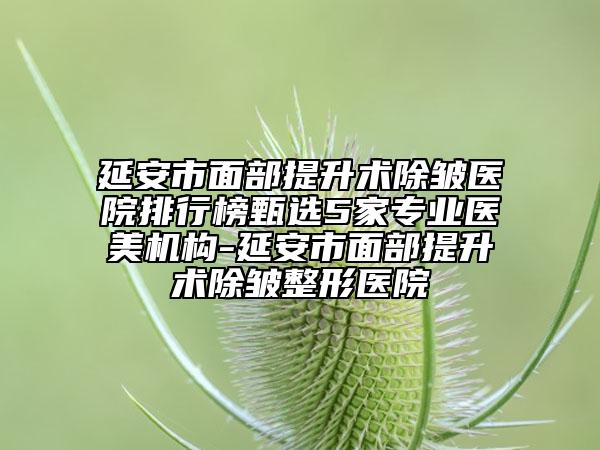 延安市面部提升术除皱医院排行榜甄选5家专业医美机构-延安市面部提升术除皱整形医院