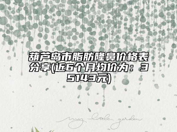 葫芦岛市脂肪隆鼻价格表分享(近6个月均价为：35143元)