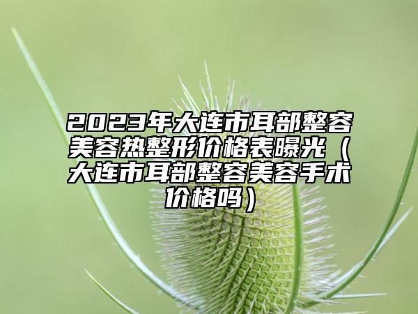 2023年大连市耳部整容美容热整形价格表曝光（大连市耳部整容美容手术价格吗）