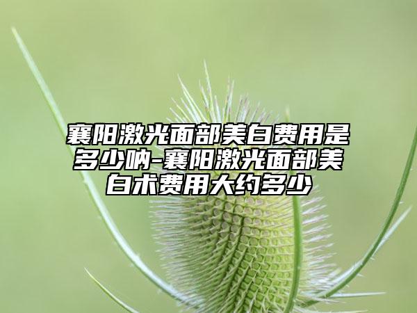 襄阳激光面部美白费用是多少呐-襄阳激光面部美白术费用大约多少