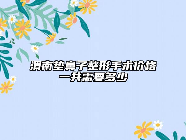 渭南垫鼻子整形手术价格一共需要多少