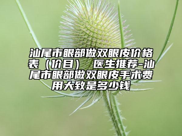 汕尾市眼部做双眼皮价格表（价目） 医生推荐-汕尾市眼部做双眼皮手术费用大致是多少钱