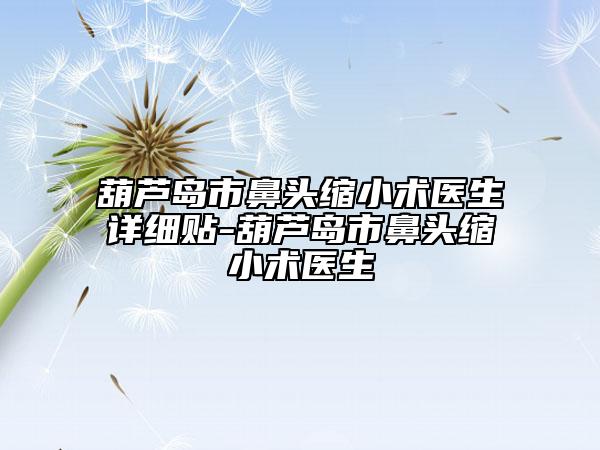 葫芦岛市鼻头缩小术医生详细贴-葫芦岛市鼻头缩小术医生