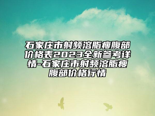 石家庄市射频溶脂瘦腹部价格表2023全新参考详情-石家庄市射频溶脂瘦腹部价格行情