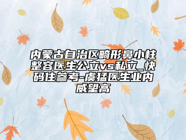 内蒙古自治区畸形鼻小柱整容医生公立vs私立_快码住参考-虞猛医生业内威望高