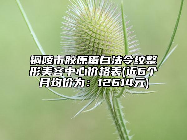 铜陵市胶原蛋白法令纹整形美容中心价格表(近6个月均价为：12614元)