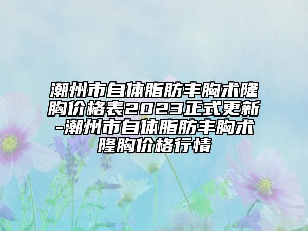 潮州市自体脂肪丰胸术隆胸价格表2023正式更新-潮州市自体脂肪丰胸术隆胸价格行情