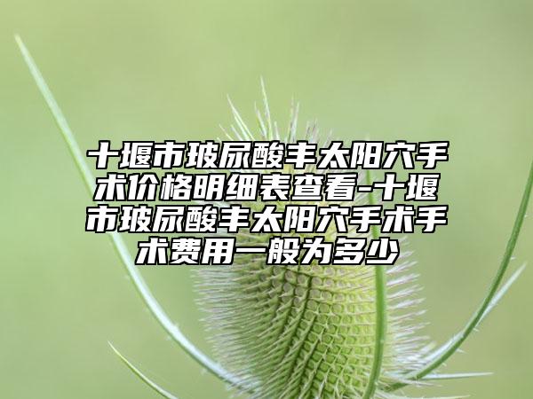 十堰市玻尿酸丰太阳穴手术价格明细表查看-十堰市玻尿酸丰太阳穴手术手术费用一般为多少