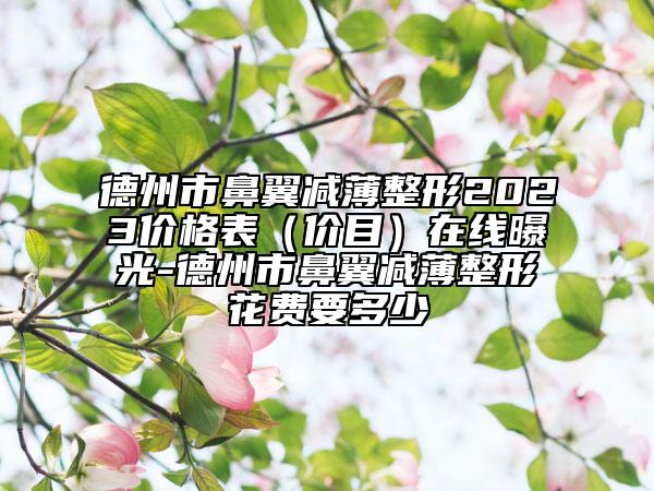德州市鼻翼减薄整形2023价格表（价目）在线曝光-德州市鼻翼减薄整形花费要多少