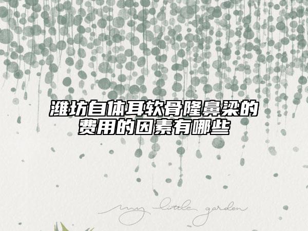 潍坊自体耳软骨隆鼻梁的费用的因素有哪些