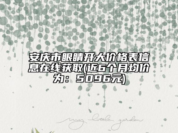 安庆市眼睛开大价格表信息在线获取(近6个月均价为：5096元)
