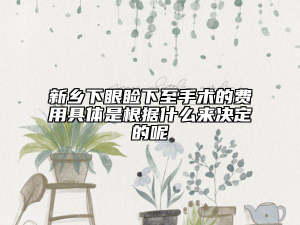 新乡下眼睑下至手术的费用具体是根据什么来决定的呢