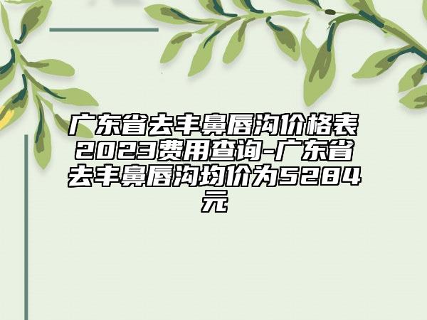 广东省去丰鼻唇沟价格表2023费用查询-广东省去丰鼻唇沟均价为5284元