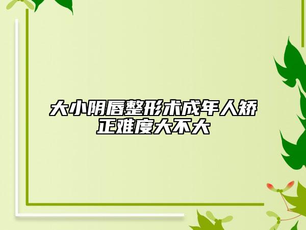 大小阴唇整形术成年人矫正难度大不大