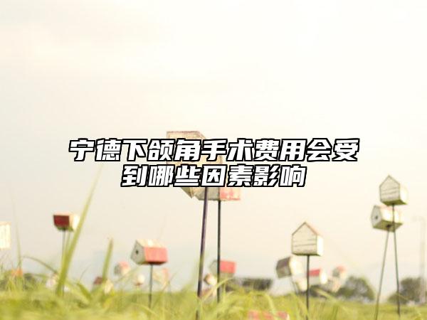 宁德下颌角手术费用会受到哪些因素影响