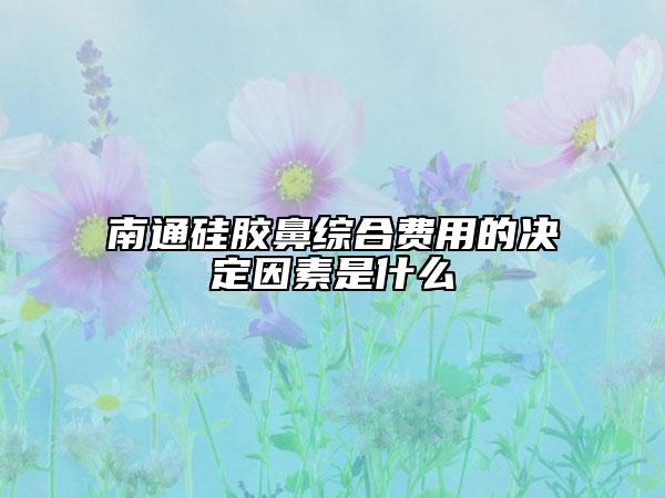 南通硅胶鼻综合费用的决定因素是什么