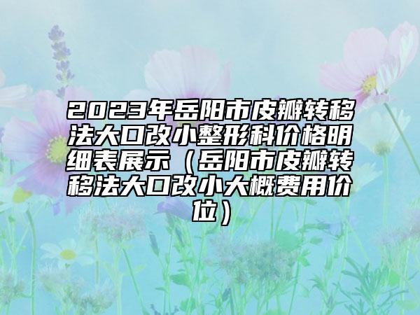 2023年岳阳市皮瓣转移法大口改小整形科价格明细表展示（岳阳市皮瓣转移法大口改小大概费用价位）