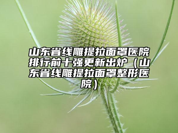 山东省线雕提拉面罩医院排行前十强更新出炉（山东省线雕提拉面罩整形医院）