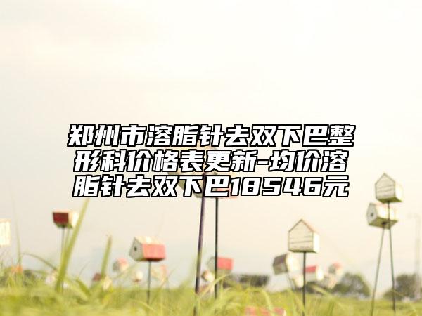 郑州市溶脂针去双下巴整形科价格表更新-均价溶脂针去双下巴18546元