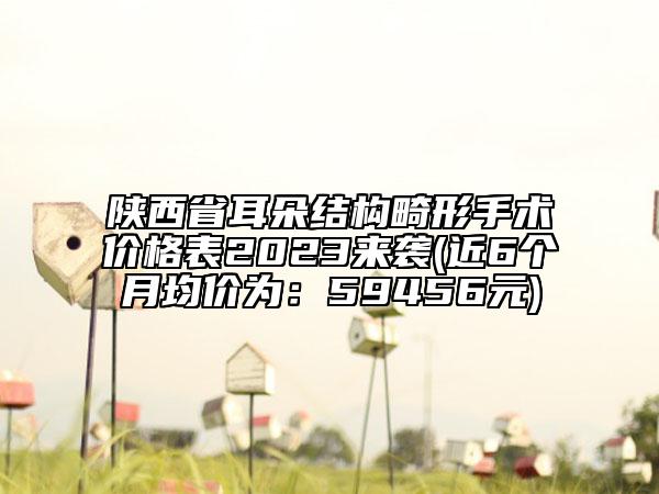 陕西省耳朵结构畸形手术价格表2023来袭(近6个月均价为：59456元)