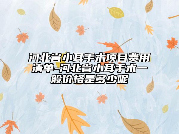 河北省小耳手术项目费用清单-河北省小耳手术一般价格是多少呢