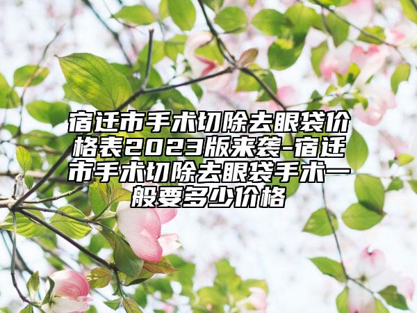 宿迁市手术切除去眼袋价格表2023版来袭-宿迁市手术切除去眼袋手术一般要多少价格