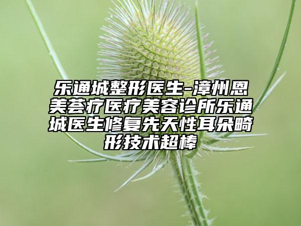 乐通城整形医生-漳州恩美荟疗医疗美容诊所乐通城医生修复先天性耳朵畸形技术超棒