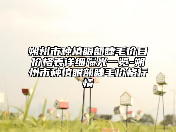 朔州市种植眼部睫毛价目价格表详细曝光一览-朔州市种植眼部睫毛价格行情