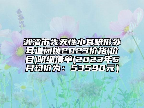 湘潭市先天性小耳畸形外耳道闭锁2023价格(价目)明细清单(2023年5月均价为：53590元）
